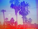 Signed Dogstar Somewhere Between the Power Lines and Palm Trees Keanu Reeves