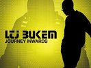 LTJ Bukem Journey Inwards Vinyl