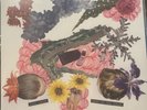 Apes of the State - Pipe Dream New Punk Pink White Starburst 2023 Repress Folk