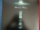 Band Of Horses- Cease To Begin- Limited Gold Vinyl.