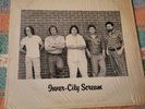 FORTUNE TELLER-Inner-City Scream-USA Private Press- Original LP