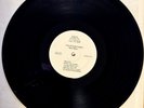 The Spongetones – Beat Music - Ripete - PROMO - LP  -RARE
