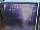 VLAD TEPES / TORGEIST Black Legions Metal LP 2004, Mütiilation, LLN, RARE