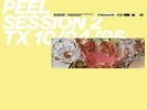 Aphex Twin Peel Session 2 Records & LPs New