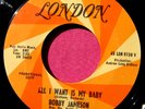 BOBBY JAMESON - All I Want is My Baby - Promo 45 rpm London 9730 Stones related