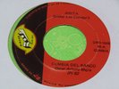 LOS CONDORS & ANITA CUMBIA DEL BANCO AFRO LATIN MOOG CUMBIA GIRL STYLE SONIDERO