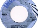 NEW BARRINO BROTHERS- Trapped in a love/ Something about you - HURTBOX008 02