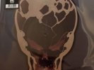 Destruction Bestial Invasion The Ritual Shaped Picture Disc Vinyl Record New
