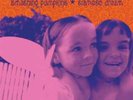 The Smashing Pumpkins - Siamese Dream