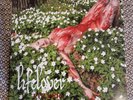 Lifelover ‎– Pulver / Vinyl LP