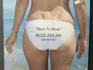 Buzz Adlam Back To Music CHEESECAKE SEXY COVER Jazz Woman Private Press