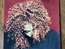 Janet Jackson The Velvet Rope 2019 Reissue Vinyl LP Together again black Vinyl