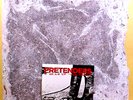 PRETENDERS - Break Up The Concrete - '08 Shangri-La label NM - 2-10