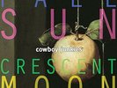 Pale Sun Crescent Moon by Cowboy Junkies (Record, 2018)