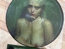 Sky Ferreira Night Time, My Time PICTURE DISC Vinyl RSD 2013 - very Rare
