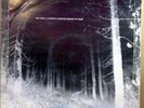 THE CURE - A Forest - 12