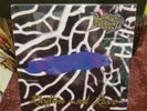 Radioactive Goldfish Rhythm And Rave  Promo New Sealed