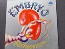 Vinyl Embryo - Rocksession (1973) Brain – brain 1036
