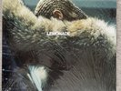 Beyoncé Lemonade [Yellow 180 Gram Vinyl] Gatefold 2017 VG/NM