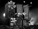 LP CAN - Live In Paris 1973