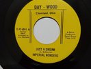 NORTHERN SOUL / FUNK 45 BY THE IMPERIAL WONDERS ON DAY-WOOD LAB# 6901
