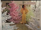 AL KOOPER The FIRST Annual Kapusta Kristmas Album – K-101/1  SUPER RARE WILD LP