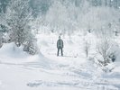 Grieves - Winter & The Wolves (2xLP, Album, Blu)