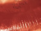 Kiss Me Kiss Me Kiss Me by The Cure (Record, 2016)