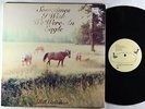 Bill Callahan - Sometimes I Wish We Were An Eagle LP - Drag City VG+