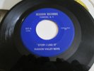 Hudson Valley Boys 45 Stop I Like It Session Records Yonkers Rockabilly VG++