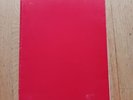RICH KIDS PROMO FOLDER-PUNK POWER POP PISTOLS MATLOCK