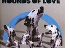 The Futureheads - Hounds Of Love - Used Vinyl Record 7 - G12230z