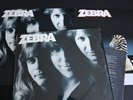 Zebra Self Titled 1983 Vinyl LP Atlantic in Shrink + Two 12 x 12 Poster Flats