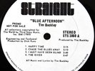 Folk-Psych 1969 PROMO LP Tim Buckley Blue Afternoon Beautiful VG+