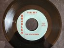 RARE SURF ROCK THE STATESMEN FOREVER / RAMPAGE 45 RPM VINYL BRADLEY RECORDS