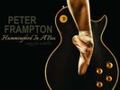 Hummingbird in a Box by Peter Frampton (Record, 2014)