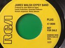 James Walsh Gypsy Band - Cuz It’s You Girl / Sam Cooke - Sugar Dumpling - M-