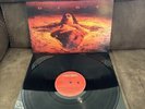 Alice In Chains - Dirt LP 2009 Music On Vinyl Reissue Vinyl Record VG+/NM