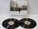 JOHNNY FLYNN A Larum 2x 12