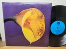 Swans - The Burning World *SIGNED by Michael Gira* (LP, 1989, Uni-601) VG+