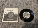The Flys “Bunch Of Five Extended E.P.” Original 1977 U.K. 7 inch + Sleeve PUNK