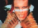 Adam and the Ants Kings of the Wild Frontier LP vinyl Europe Cbs 2016 heavy