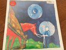 Iron And Wine | Calexico - In The Reins 12
