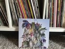 Wilco - Cousin Floral Ice Color 200g Vinyl LP EX Like New Jeff Tweedy