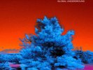 Global Underground: Afterhours 9 (Various Artists) by Various Artists ...