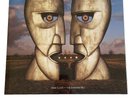 Pink Floyd   The Division Bell - VINILE,  PICTURE DISC