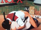 NOFX - Eating Lamb (Heavy Petting Zoo) LP - vinyl NEW