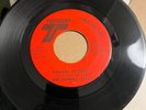 CROSSOVER SOUL The Dynamic Tints  - Falling In Love / Be My Lady     TWINIGHT