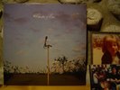CLUSTER & ENO LP/1977 Germany/Minimal/Ambient/Electronic/Okko Bekker/Brian Eno