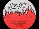 Sexual Harrassment - I Need a Freak 12